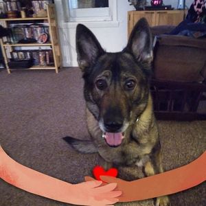 Meet your Posher, Gary a